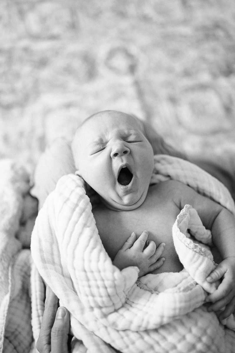 A photograph from a Spring newborn photoshoot in London, UK