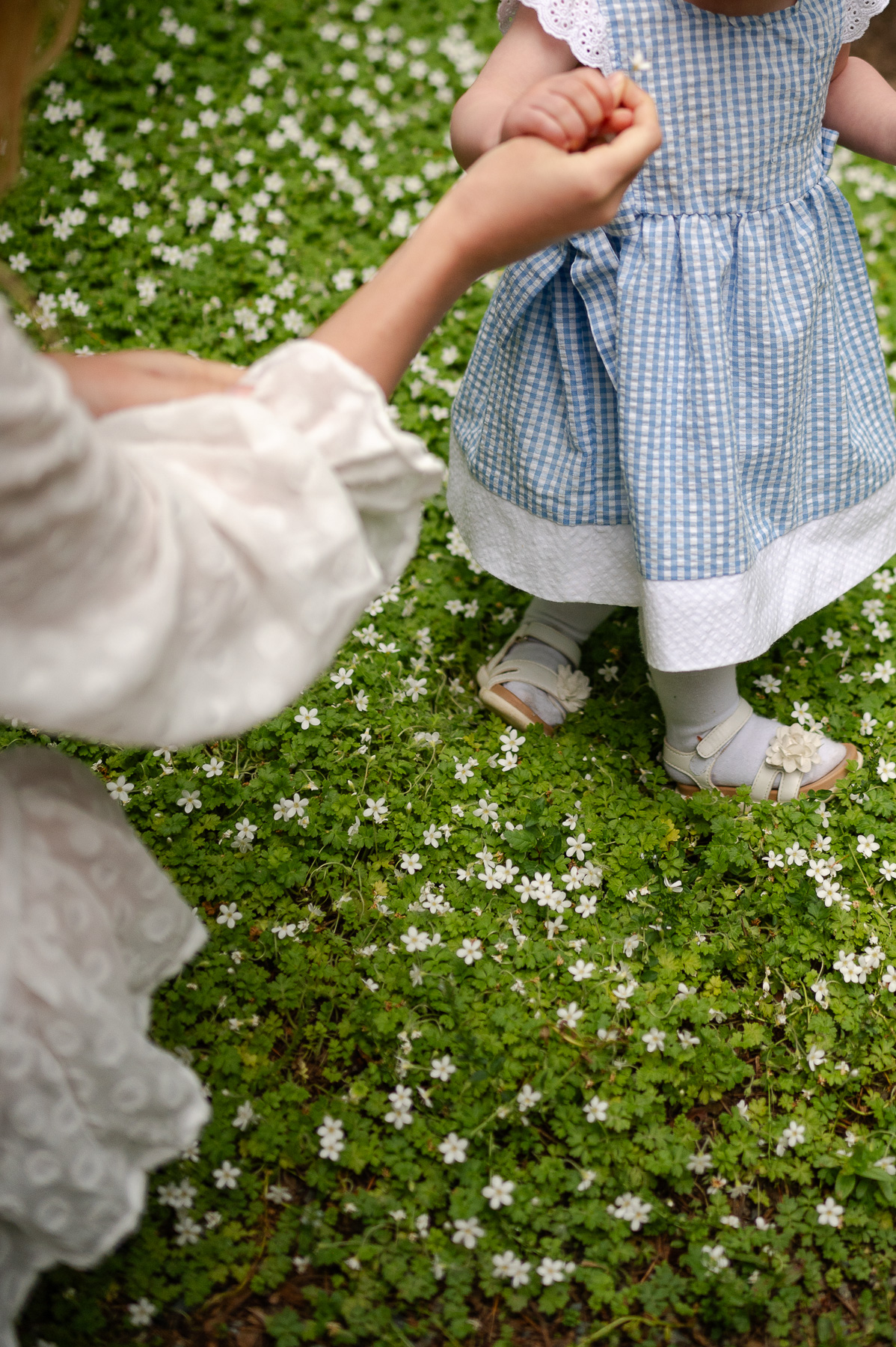 luxury seattle family photography